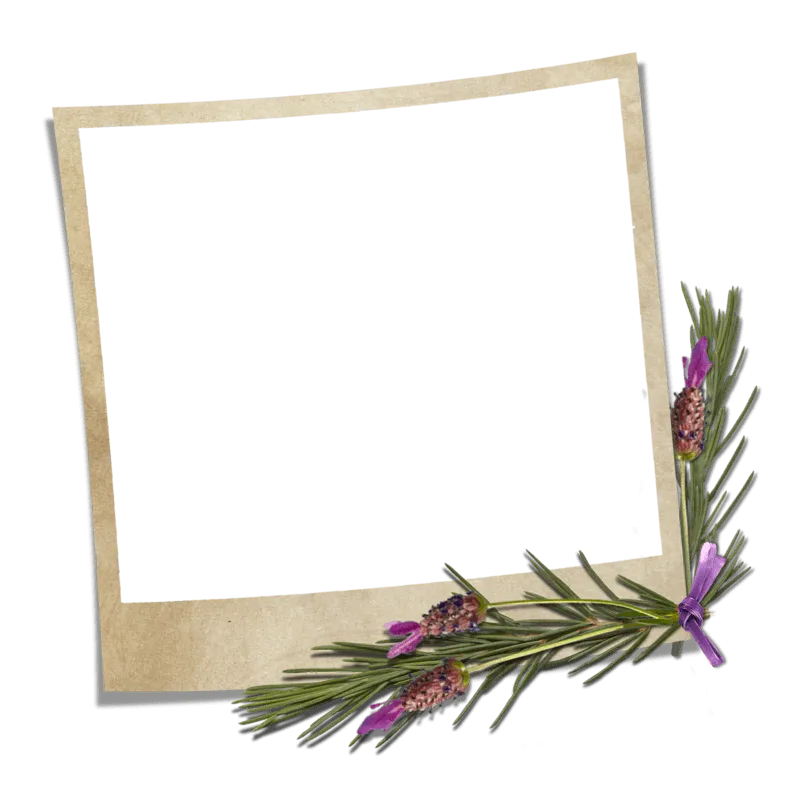 Digital Photo Frame
