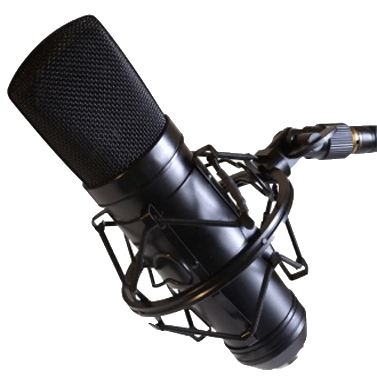 Microphone
