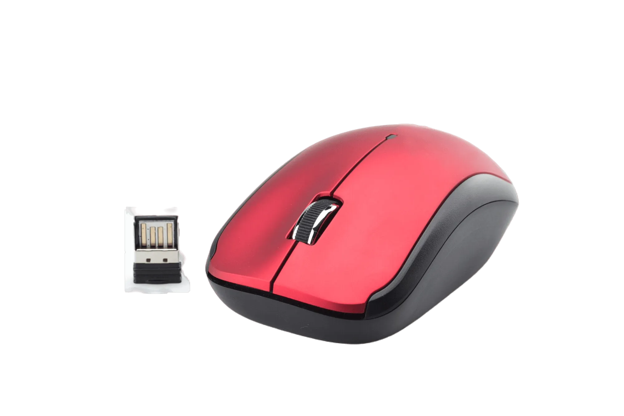 Mouse