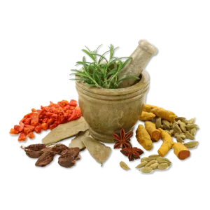 Ayurvedic