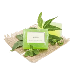 Bath Soaps and Gels